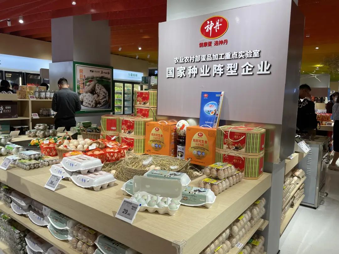 亚星管理平台(中国游)官方网站