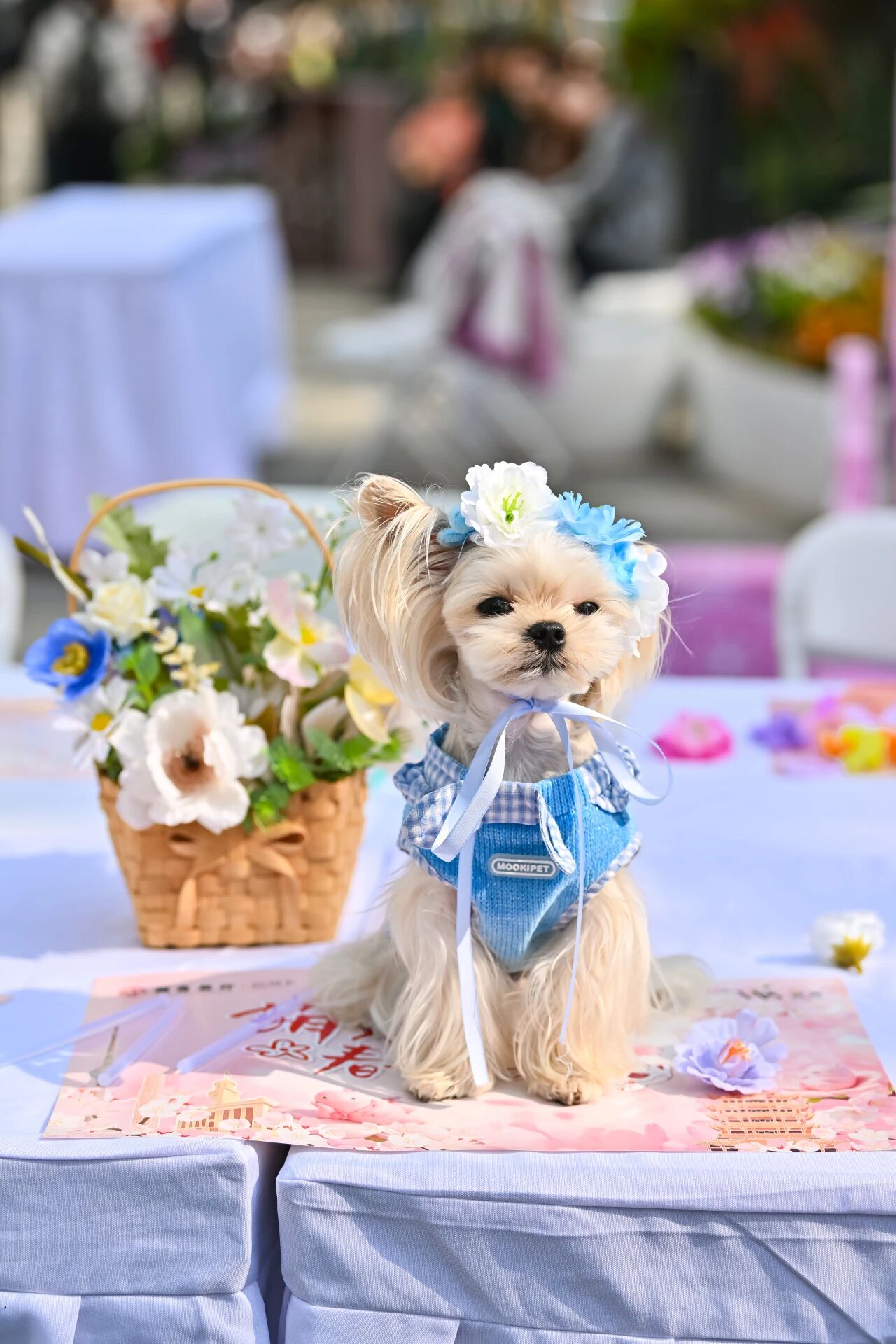 亚星管理平台(中国游)官方网站