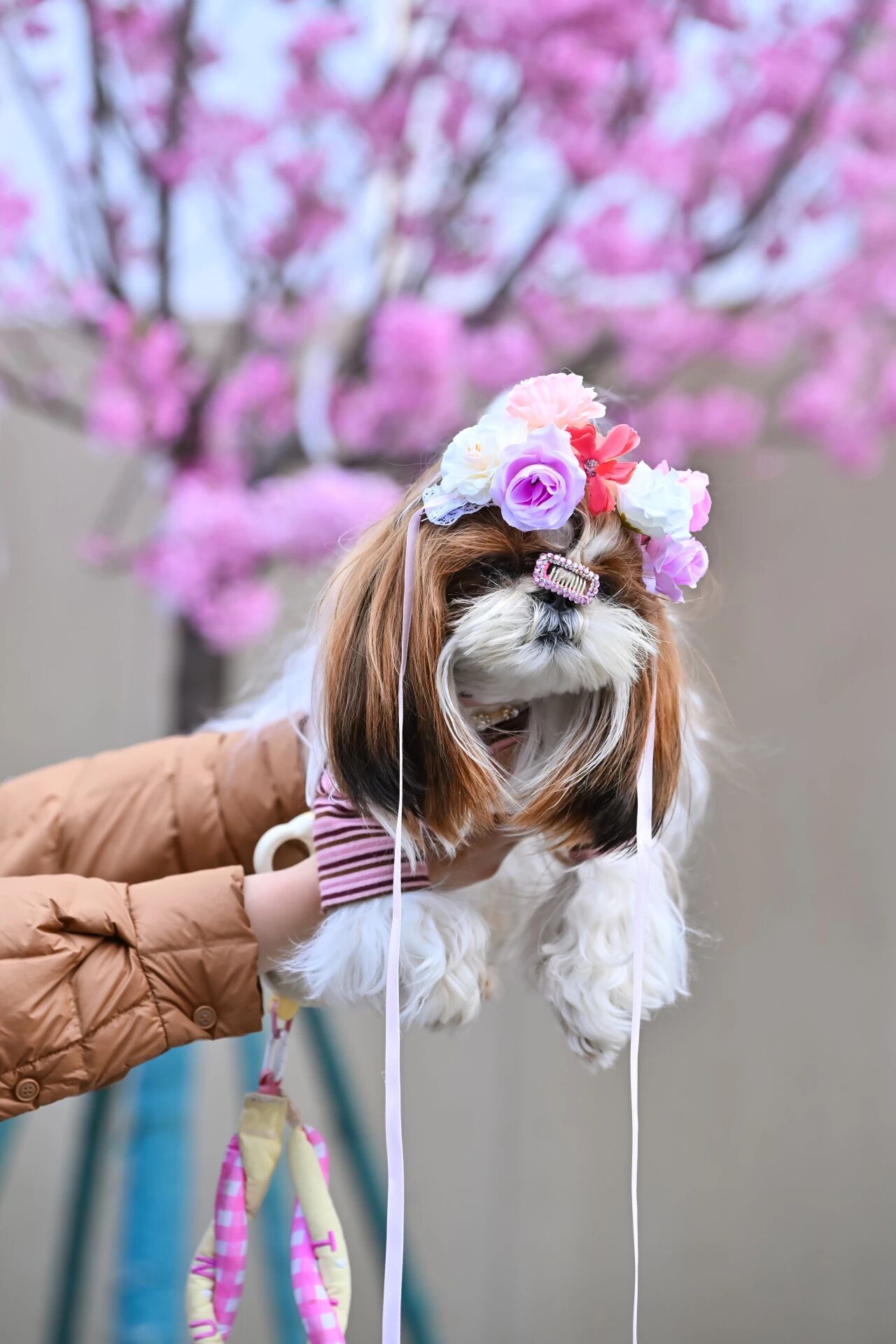 亚星管理平台(中国游)官方网站